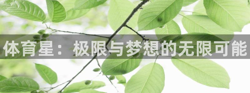 MK体育官网下载平台假的吗是真的吗吗:体育星:极限与梦想的无