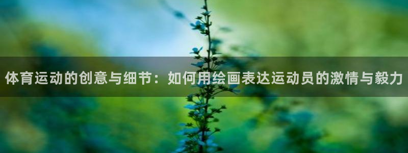 MK体育官方正版app神州:体育运动的创意与细节:如何用绘画